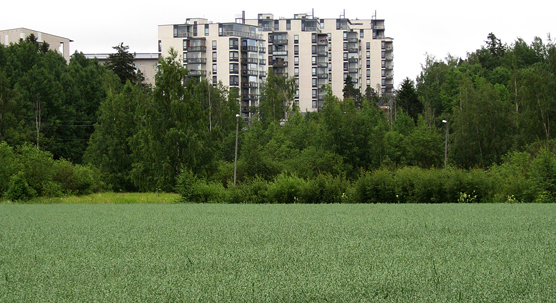 Valokuva viheralueesta ja kerrostalosta Helsingin Pihlajamäessä.